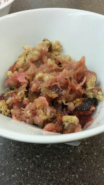 recipe-dessert-rhubarb-crumble
